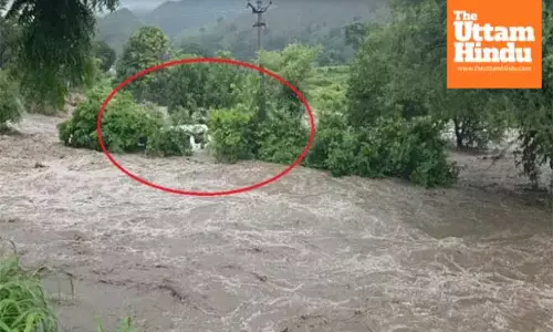 Close Escape: School Van Swept by Strong Current, Kids Survive by Climbing Tree – Shocking Video Viral