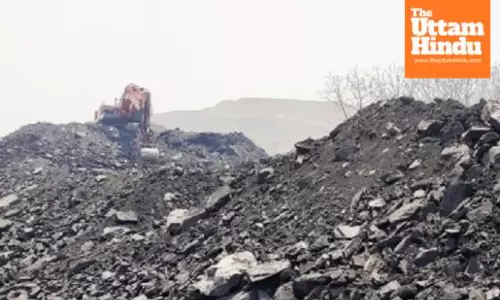 Major Accident in Illegal Coal Mine: Over 10 Workers Feared Dead After Collapse
