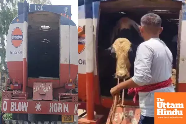 Smuggling on Wheels: 9 Cows Found Hidden in Oil Tanker, 2 Held Absconding, Watch Video