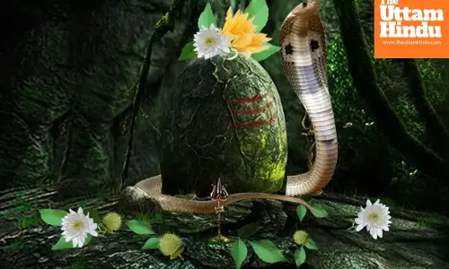 When is Nag Panchami in 2025? Know Date, Time & Significance of the Sawan Festival