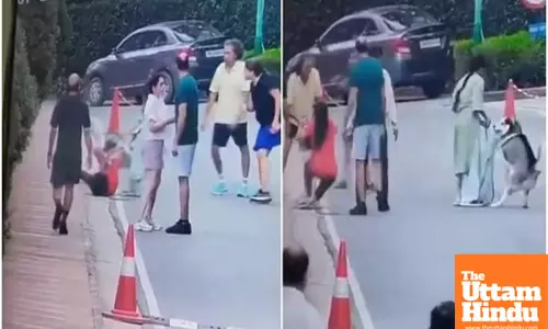 The Moment a Pet Husky TURNS FURIOUS: Shocking Dog Attack Caught on Camera!