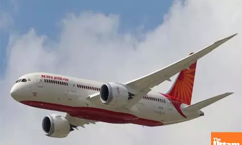 Cockroach Scare on Air India San Francisco-Mumbai Flight, Clarification Issued