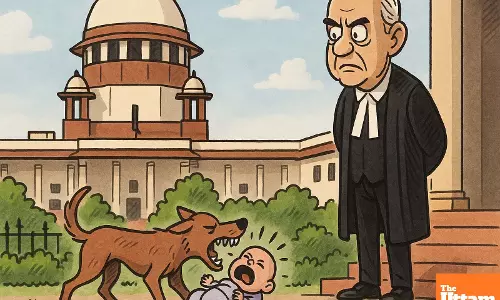 SC Takes Suo Motu Notice of Infant Deaths in Delhi Stray Dog Attacks