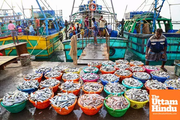 Focus on State-Specific Species to Boost Seafood Exports: Rajiv Ranjan Singh
