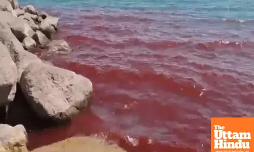 RED ALERT! Israels Sea of Galilee Turns Blood-Red, Stuns Onlookers