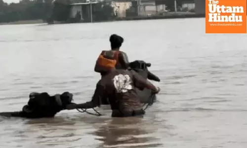 Punjab on High Alert as Torrential Rains Turn Rivers Violent, Beas and Sutlej Swell Submerging Dozens of Villages