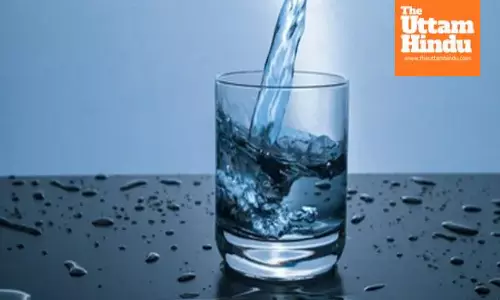 From flu to allergies, natural remedies that keep seasonal diseases away