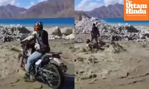Watch Terrifying Scene at Pangong Lake: Biker Swept Away in Flash Flood, Rescued by Indian Army