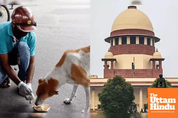 Supreme Court Sets Nationwide Rules for Feeding Stray Dogs: Heres What You Need to Know Supreme Court Sets Nationwide Rules for Feeding Stray Dogs: Heres What You Need to Know
