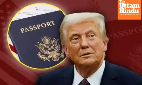 Blow to Foreign Drivers: US Bans Work Visas for Foreign Truck Drivers After Fatal Florida Accident