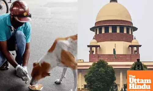 Supreme Court Sets Nationwide Rules for Feeding Stray Dogs: Heres What You Need to Know