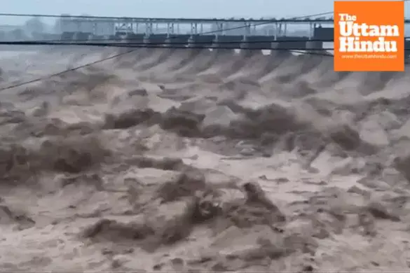 Heavy Rains Cause Havoc: Dam Gate Breaks in Punjab, 65 People Stranded, 45 Trains Cancelled Heavy Rains Cause Havoc: Dam Gate Breaks in Punjab, 65 People Stranded, 45 Trains Cancelled