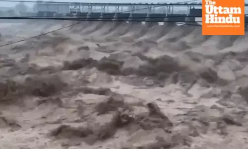 Heavy Rains Cause Havoc: Dam Gate Breaks in Punjab, 65 People Stranded, 45 Trains Cancelled