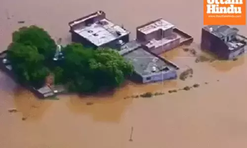 Punjab Faces Worst Floods Since 1988; Over 1,000 Villages Affected