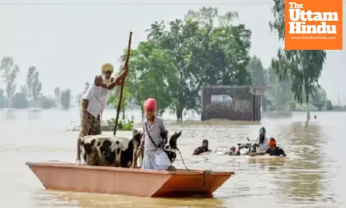 Punjab Faces Massive Flood Crisis; Locals and Diaspora Raise ₹1.35 Crore Overnight to Aid Victims