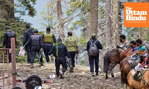 Elderly Woman Duped of ₹43 Lakh in Noida as Cyber Fraud Cases Cross ₹84 Lakh in Single Day