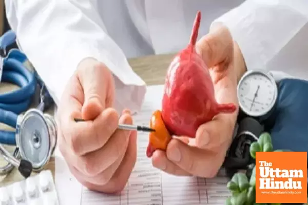 Prostate Cancer Cases Rising in Men: Know the Disease and Its Early Symptoms Prostate Cancer Cases Rising in Men: Know the Disease and Its Early Symptoms