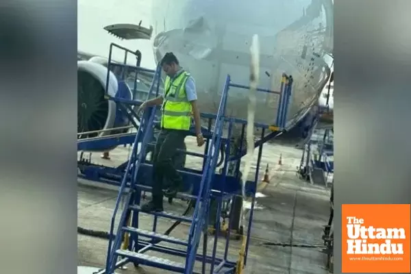 Bird collides with IndiGo plane, Nagpur-Kolkata flight makes emergency landing with 272 onboard Bird collides with IndiGo plane, Nagpur-Kolkata flight makes emergency landing with 272 onboard
