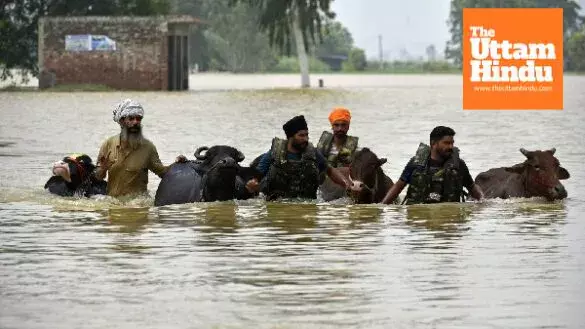 1,300 Villages Submerged as Sutlej Water Level Rises in Punjab 1,300 Villages Submerged as Sutlej Water Level Rises in Punjab