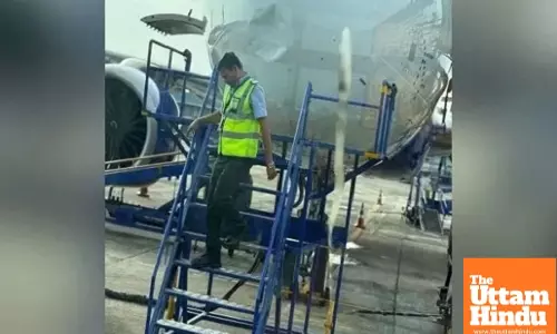 Bird collides with IndiGo plane, Nagpur-Kolkata flight makes emergency landing with 272 onboard