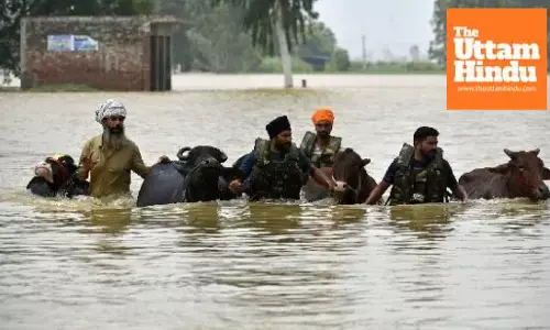 1,300 Villages Submerged as Sutlej Water Level Rises in Punjab