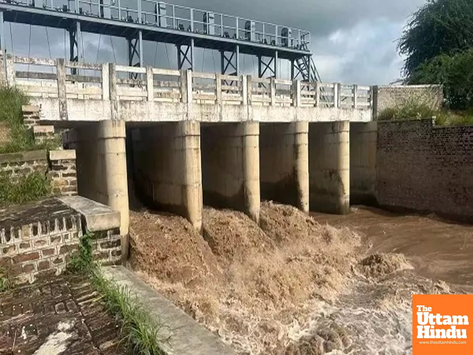 Sutlej Flow Rises, Ludhiana Administration Urges Residents Not to Panic Sutlej Flow Rises, Ludhiana Administration Urges Residents Not to Panic