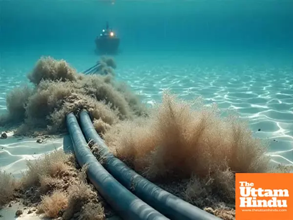 Red Sea Cable Cut: Internet Speeds Plummet Globally, India Among Affected Countries Red Sea Cable Cut: Internet Speeds Plummet Globally, India Among Affected Countries