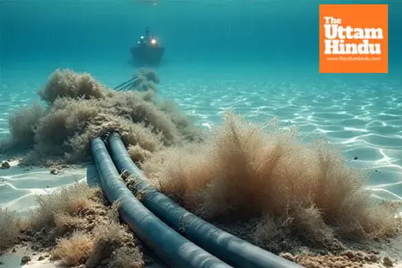 Internet disruption: Cable cut in Red Sea slows speed, India among affected countries Internet disruption: Cable cut in Red Sea slows speed, India among affected countries