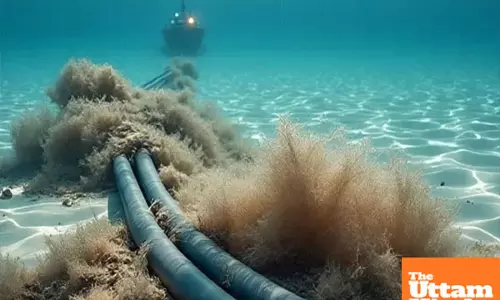 Red Sea Cable Cut: Internet Speeds Plummet Globally, India Among Affected Countries