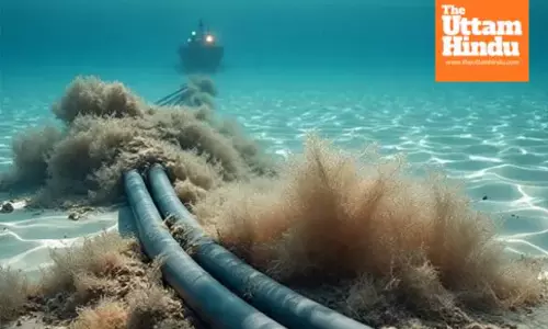 Internet disruption: Cable cut in Red Sea slows speed, India among affected countries