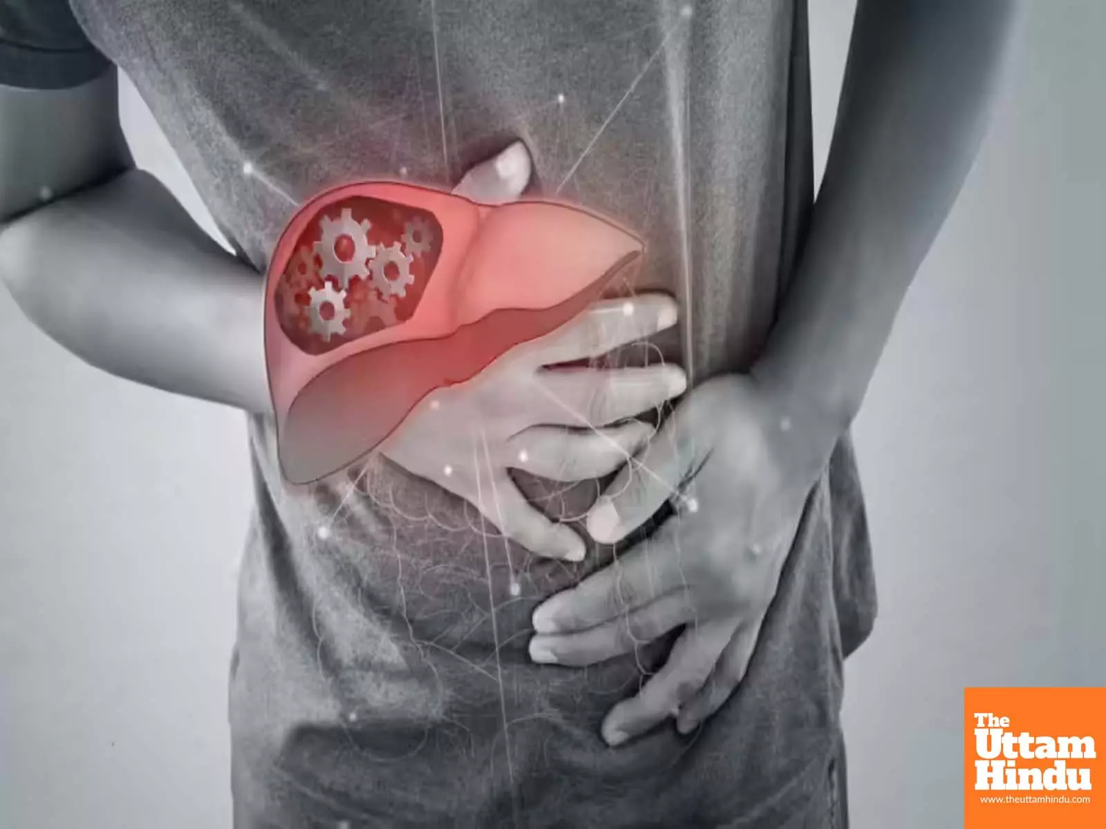 4 Powerful Drinks to Flush Out Liver Fat – See Results in Just Days 4 Powerful Drinks to Flush Out Liver Fat – See Results in Just Days