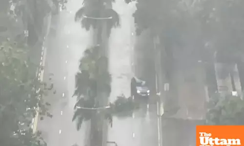 Typhoon Tapah Hits China: Flights Grounded, Schools Shut, Mass Evacuations