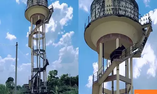 Bull shocks villagers by climbing 60-feet water tank, escapes after night-long drama