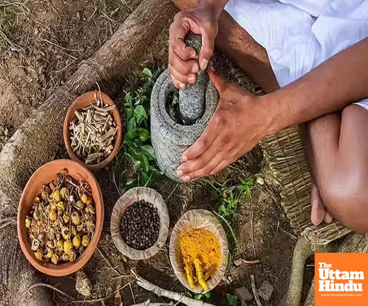 Cleanliness of the body must match the season, Says Ayush ministry with Ayurvedic tips Cleanliness of the body must match the season, Says Ayush ministry with Ayurvedic tips