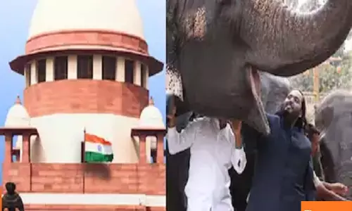 Do not defame Vantara, says report giving Anant Ambani’s initiative clean chit