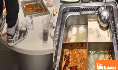 Shocking Soup Scandal: Parents Fined ₹2.71 Crore for Drunken Minors Urination Incident