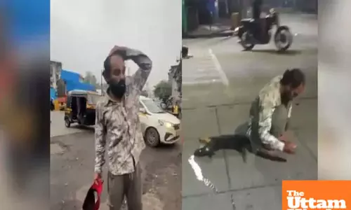 Man Kills Stray Dog, Gouges Out Eyes and Plays with Them in Shocking Incident
