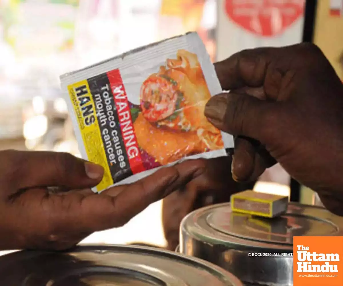 One-year ban on gutkha and pan masala in Haryana, heavy fines for violators