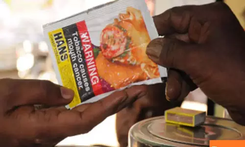One-year ban on gutkha and pan masala in Haryana, heavy fines for violators