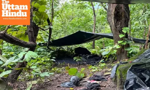 Major Security Operation: Three Naxals Killed in Jharkhand Encounter, Two Had Rs 5 Lakh Bounties