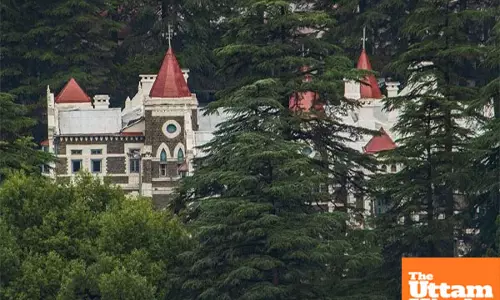 Love Conquers All: Couples 10-Year Wait Ends with High Court Intervention