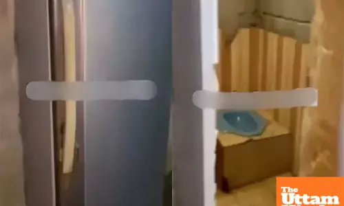 Viral video shows mans ingenious Jugaad - bathroom hidden behind refrigerator door!