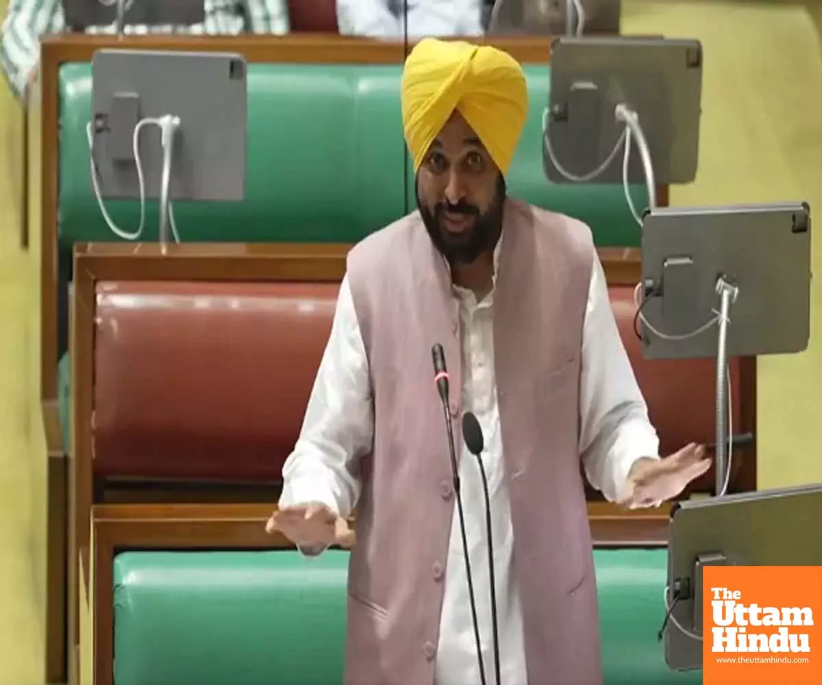 Punjab govt to compensate farmers for crops, livestock and poultry losses; CM Mann announces date