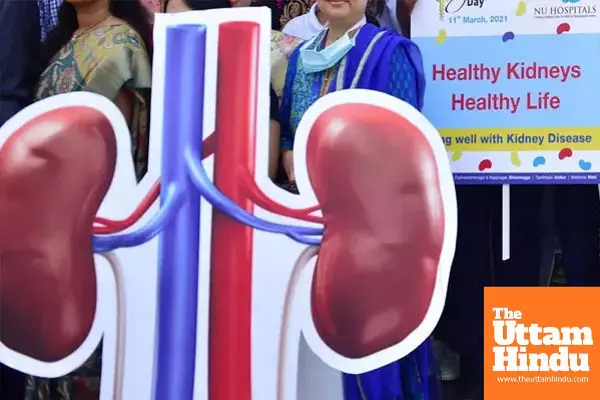 Mysterious Kidney Infection Claims 7 Children in Chhindwara, MP; Administration on High Alert