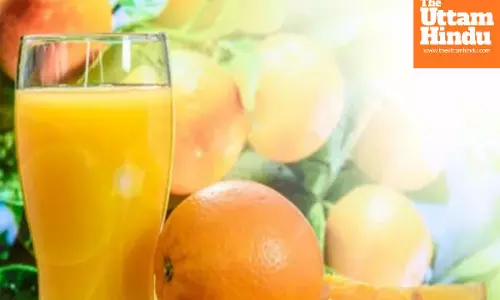 Navratri Fasting Effects: 5 Big Body Changes & The Safe Way to Break Your Vrat