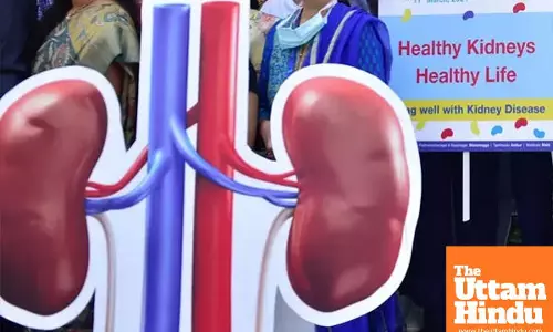 Mysterious Kidney Infection Claims 7 Children in Chhindwara, MP; Administration on High Alert