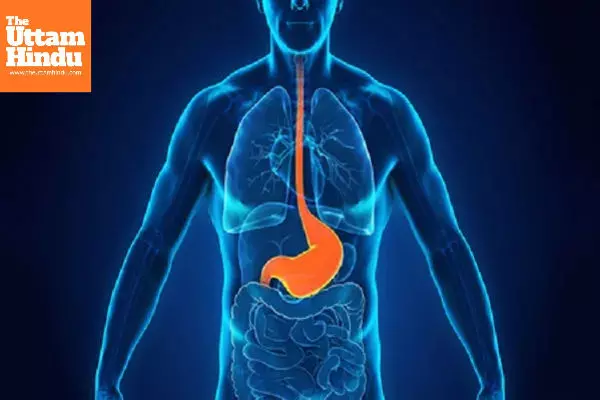 Say Goodbye to Acidity: Proven Ayurvedic and Natural Remedies for Instant Relief