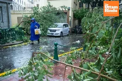 Typhoon Bualoi devastates Vietnam: 51 dead, 14 missing, $608M loss