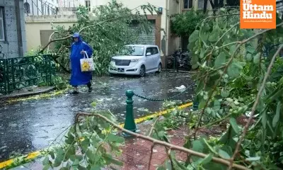 Typhoon Bualoi devastates Vietnam: 51 dead, 14 missing, $608M loss
