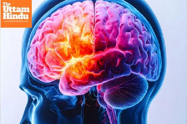 Unlock your full potential: Brain boosting techniques for better memory